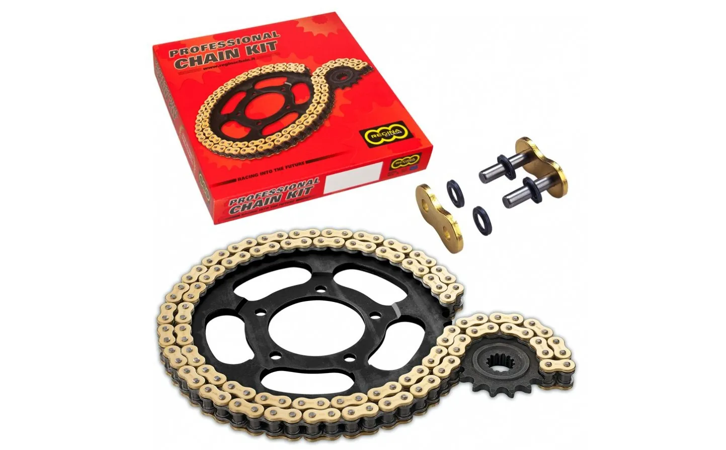 520 RT Chain And Sprocket Kit Regina /12300390/