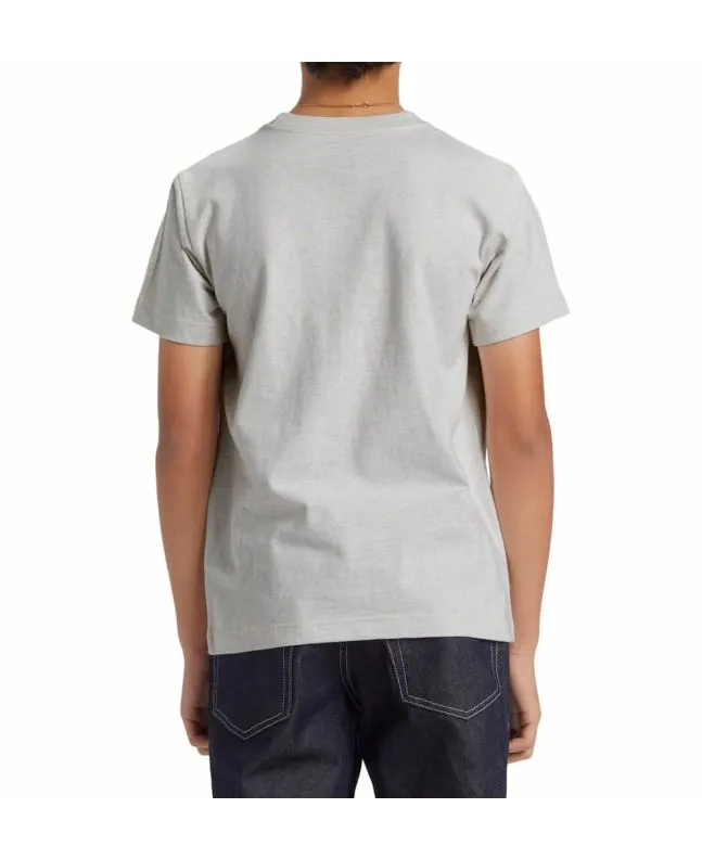 Camiseta DC Shoes Orientation Boy Gris (8-16 años)