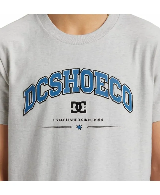 Camiseta DC Shoes Orientation Boy Gris (8-16 años)