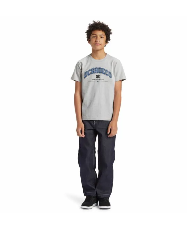 Camiseta DC Shoes Orientation Boy Gris (8-16 años)